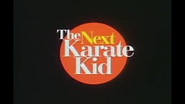 Immagine tratta da Karate Kid 4